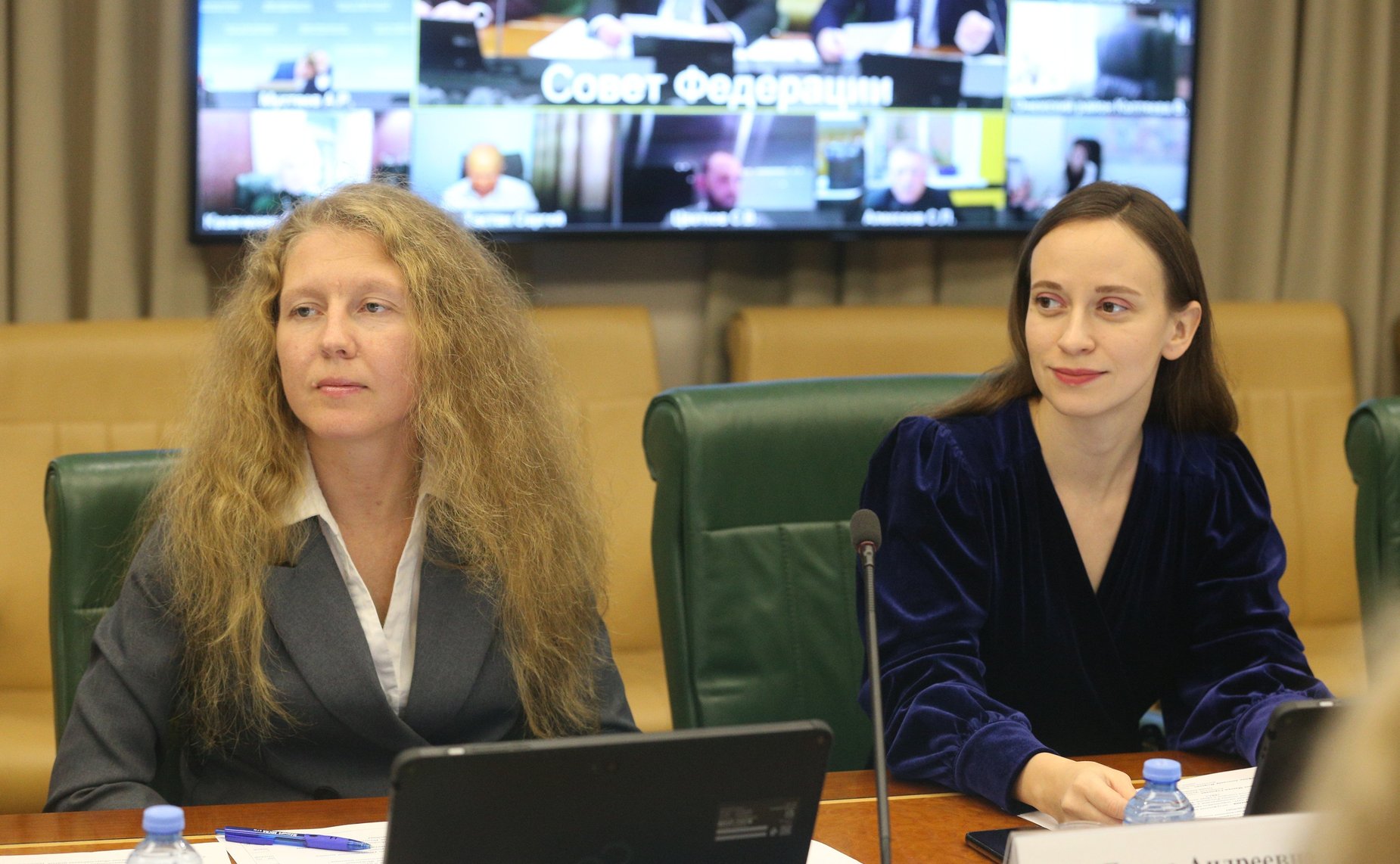 Совещание Комитета СФ по Регламенту и организации парламентской деятельности