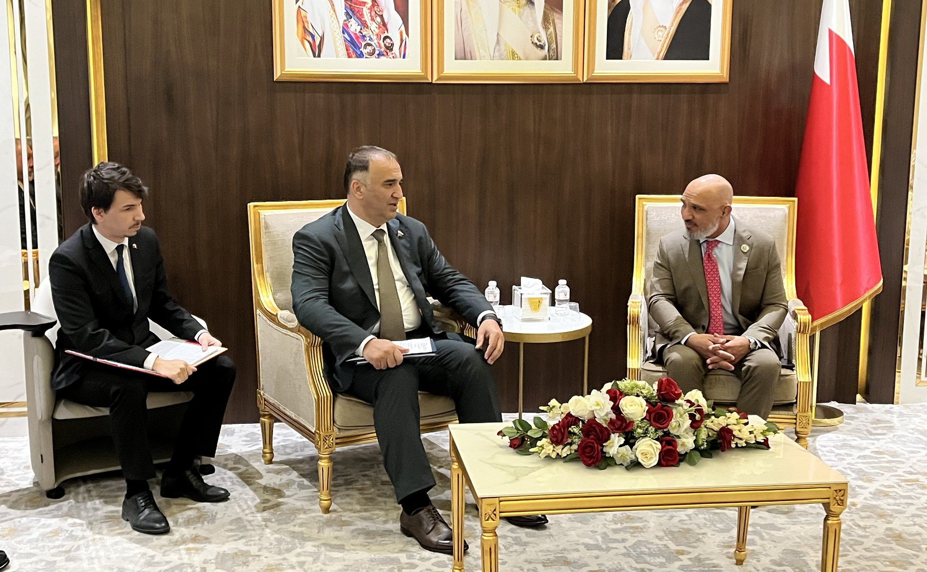 Рабочая встреча российской делегации с председателем Комитета по делам молодежи Консультативного совета Национального собрания Королевства Бахрейн Резой Иьрагимом Мунфареди