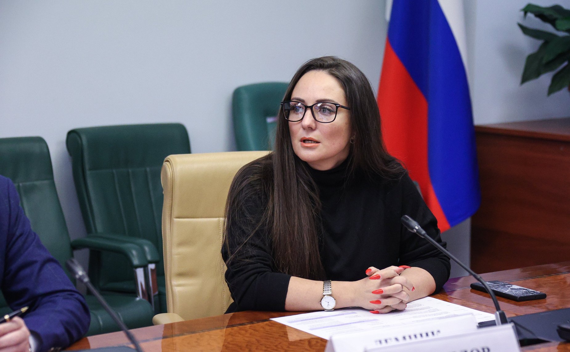 Круглый стол Комитета СФ по экономической политике «Проблемы и перспективы развития малого и среднего предпринимательства в современных условиях»