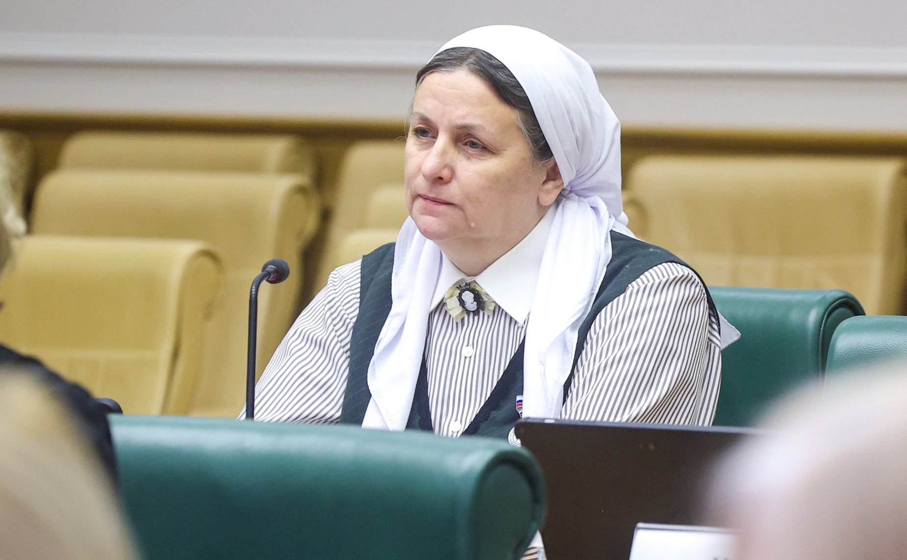 Встреча председателя Комитета СФ по науке, образованию и культуре Лилии Гумеровой с участниками окружных семейно-демографических конференций