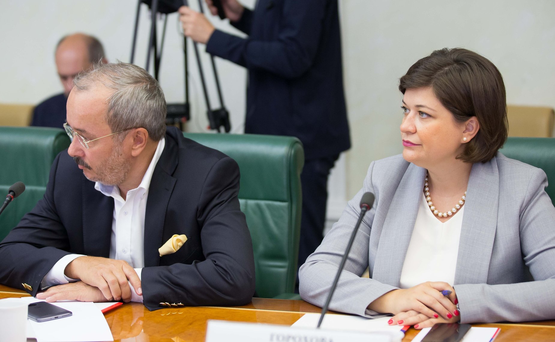 Заседание рабочей группы Временной комиссии СФ по защите государственного суверенитета и предотвращению вмешательства во внутренние дела РФ