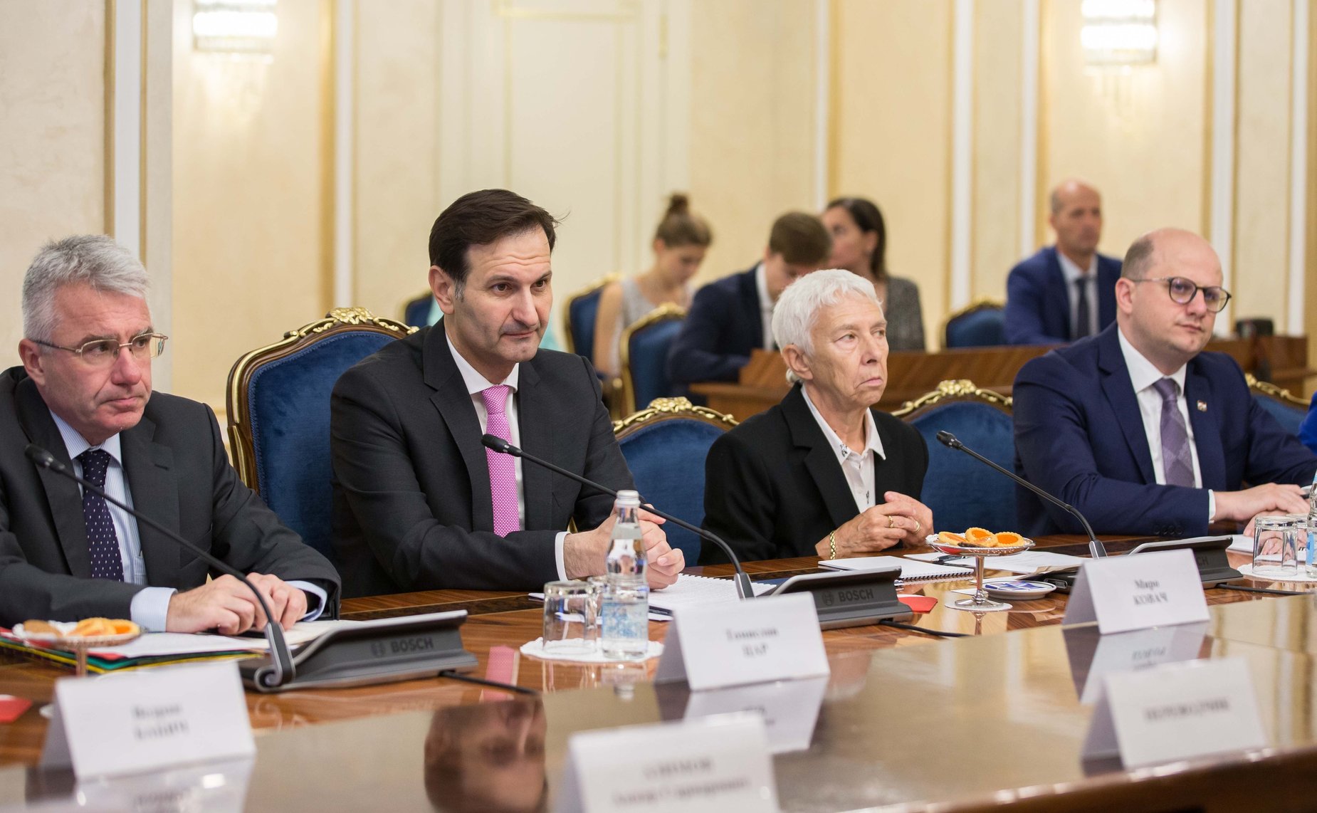 Встреча Ильяса Умаханова и Константина Косачева с делегацией Комитета Хорватского сабора по внешней политике во главе с председателем Комитета Миро Ковачем