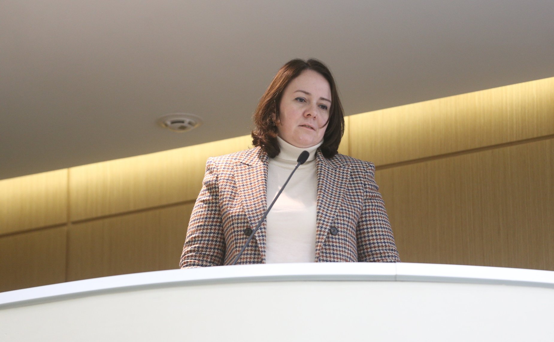 532-е заседание Совета Федерации