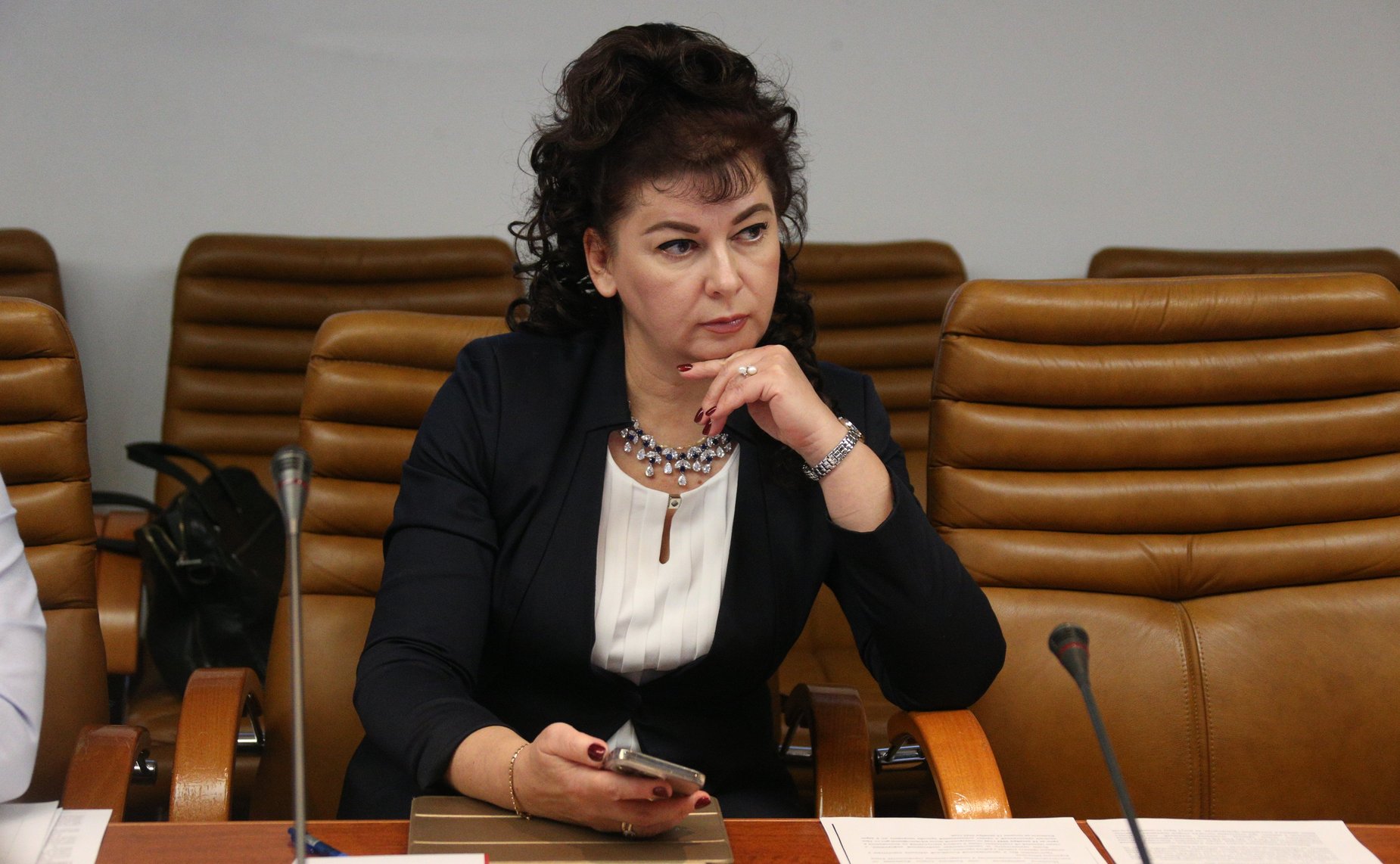 Круглый стол Комитета СФ по конституционному законодательству и государственному строительству