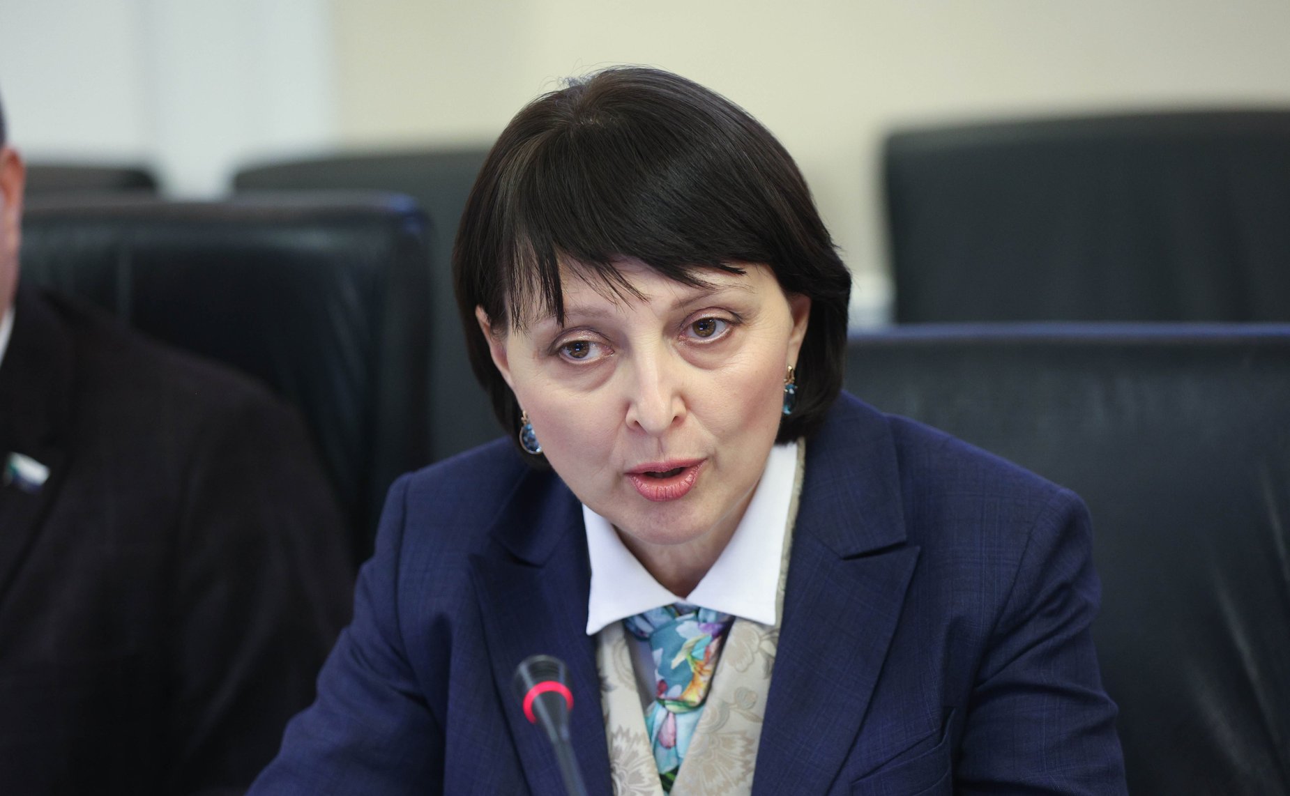 Расширенное заседание Комитета СФ по федеративному устройству, региональной политике, местному самоуправлению и делам Севера (в рамках Дней Хабаровского края в СФ)