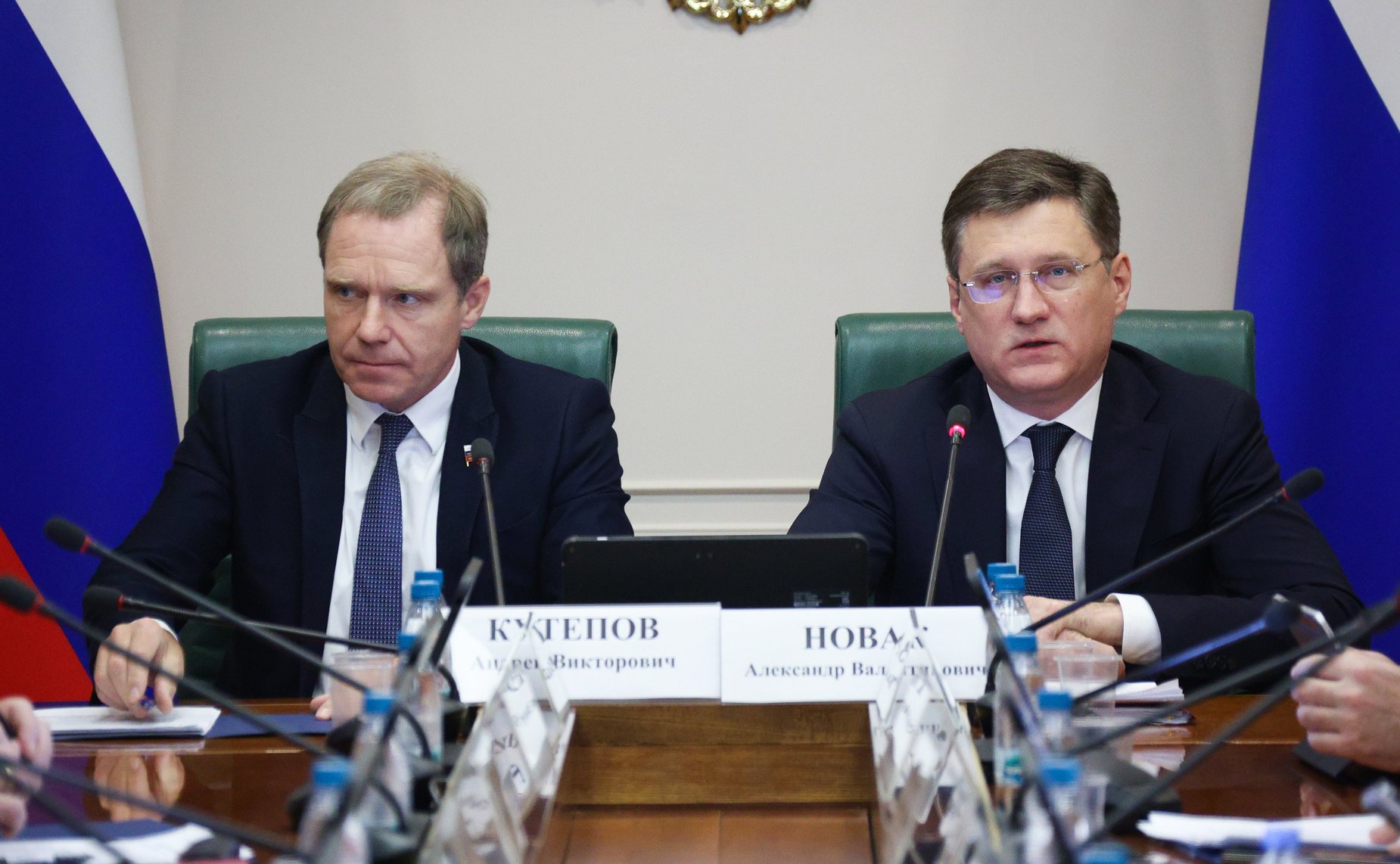 Расширенное заседание Комитета Совета Федерации по экономической политике (в рамках Дней Амурской области в Совете Федерации)