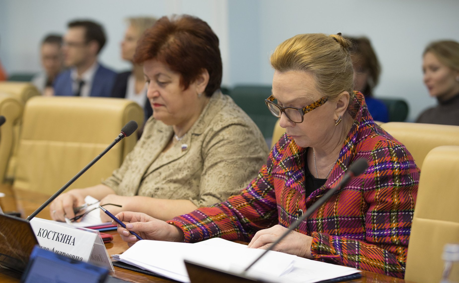 Л. Козлова и Л. Косткина на расширенном заседании Комитета Совета Федерации по социальной политике с участием представителей государственной власти Челябинской области