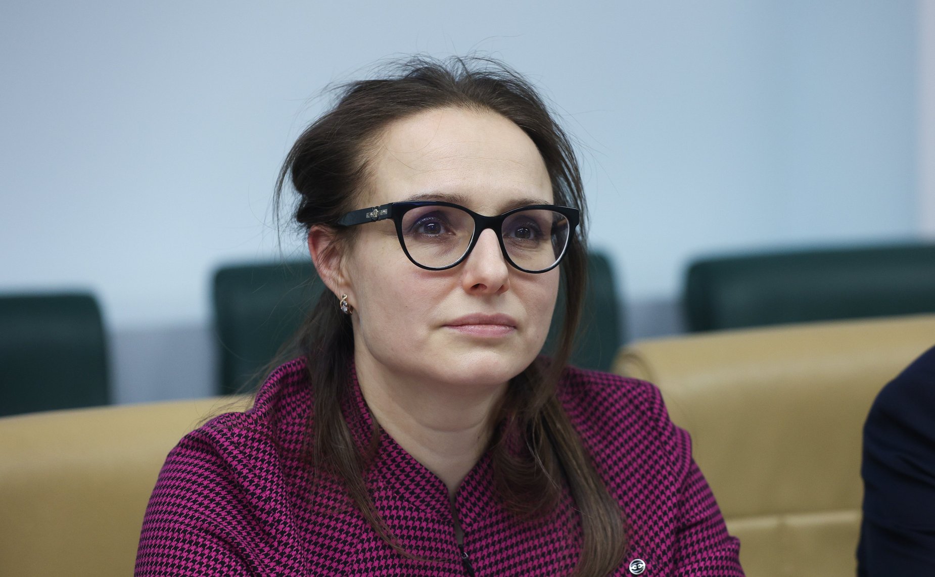 Круглый стол Комитета Совета Федерации по экономической политике «О ходе реализации мероприятий по созданию преференциальных режимов на территориях Донецкой Народной Республики, Луганской Народной Республики, Запорожской области и Херсонской области»