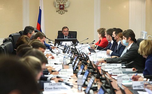Профильный Комитет СФ обсудил вопросы реализации Стратегии развития Арктической зоны РФ