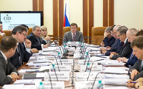 В СФ обсудили планы по реализации инвестиционных проектов на Дальнем Востоке и в Байкальском регионе