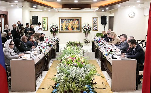 Делегация Совета Федерации провела в Джакарте встречи с членами Совета народных представителей Индонезии