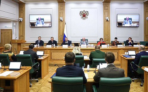 Комитет СФ по конституционному законодательству и государственному строительству поддержал запрет треш-стримов