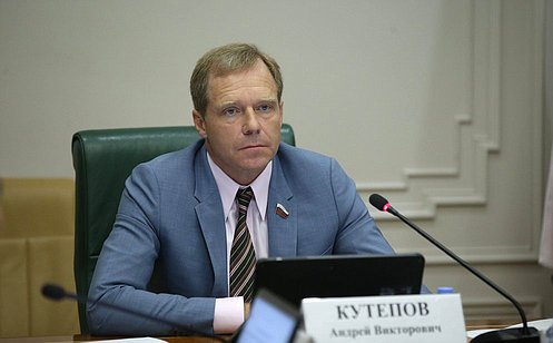 А. Кутепов провел заседание Комитета СФ по экономической политике