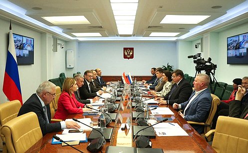 Состоялось совместное расширенное заседание групп по сотрудничеству Совета Федерации и Народного Совета Сирии