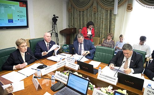 Экономическое развитие Мурманской области рассмотрели в Совете Федерации