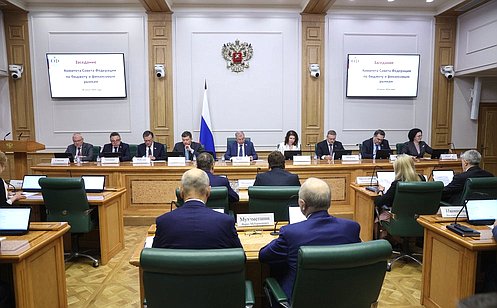 Профильный Комитет Совета Федерации обсудил предложения о формировании концепции федерального бюджета на следующие три года