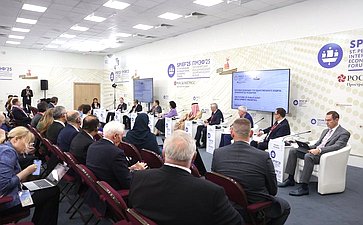 XXVIII Петербургский международный экономический форум (ПМЭФ’25). «Взгляд в будущее государственного аудита: приоритеты развития»