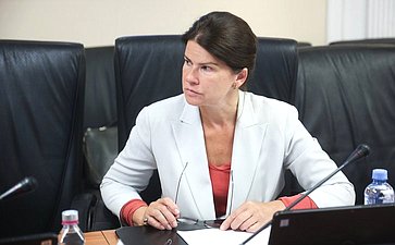 Рабочее совещание Совета по вопросам развития Сибири при Председателе Совета Федерации на тему «Действующие механизмы социального инвестирования в России: проблемы и пути их решения»