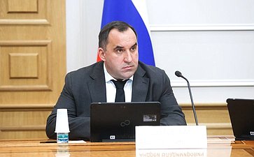 Расширенное заседание Комитета СФ по федеративному устройству, региональной политике, местному самоуправлению и делам Севера (в рамках Дней Тульской области в Совете Федерации)