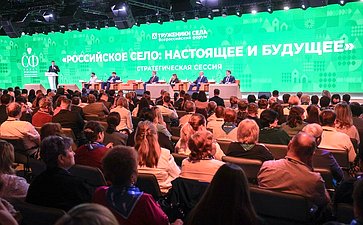 Стратегическая сессия «Российское село: настоящее и будущее». Второй Форум тружеников села
