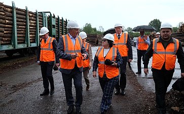 Сенаторы посетили деревоперерабатывающие предприятия в Кировской области