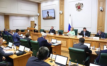 Заседание Совета по развитию финансового рынка при Совете Федерации