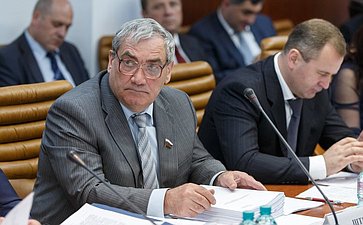 Заседание Комитета Совета Федерации по обороне и безопасности Штыров