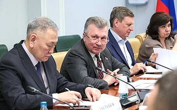 Сенаторы и эксперты проанализировали итоги первого года федерального проекта «Региональная и местная дорожная сеть»