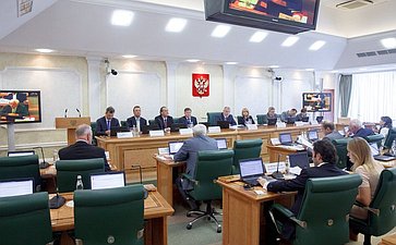 Заседание комитета СФ по конституционному законодательству-8