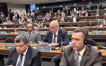 Выступление Григория Карасина на 3-й рабочей сессии Встречи председателей КМД парламентов стран БРИКС