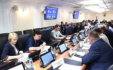 Круглый стол Комитета СФ по Регламенту и организации парламентской деятельности совместно с Комитетом СФ по экономической политике «Совершенствование законодательства Российской Федерации о государственном контроле (надзоре), муниципальном контроле»