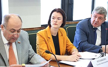 Заседание Комитета Совета Федерации по обороне и безопасности