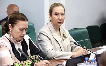 Расширенное заседание Комитета Совета Федерации по социальной политике (в рамках Дней Брянской области в Совете Федерации)
