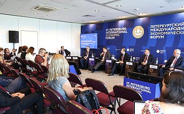 Дискуссионная сессия «Развитие национальных ценовых индикаторов как способ защиты конкуренции» в рамках Петербургского международного экономического форума