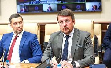 Круглый стол Комитета СФ по конституционному законодательству и государственному строительству «Правовое регулирование коллективных исков: проблемы применения и пути их решения»