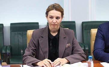 Круглый стол Комитета Совета Федерации по региональной политике, МСУ и делам Севера на тему «Актуальные вопросы реализации федерального проекта «Инфраструктурное меню»