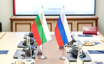 Василий Иконников провел встречу с болгарским политическим деятелем Руменом Петковым