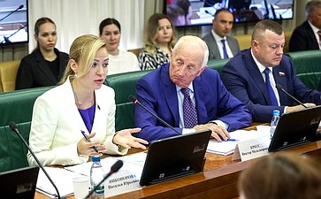 Заседание Комитета Совета Федерации по международным делам