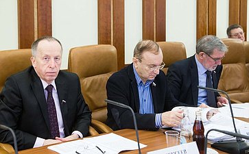 Е. Алексеев Заседание Комитета Совета Федерации по федеративному устройству, региональной политике, местному самоуправлению и делам Севера