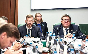 Расширенное заседание Комитета СФ по социальной политике (в рамках Дней Чукотского автономного округа в Совете Федерации)