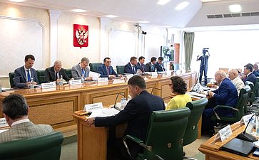 Заседание Президиума Научно-экспертного совета при Председателе Совета Федерации