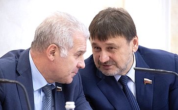 Сергей Мартынов и Владимир Лебедев