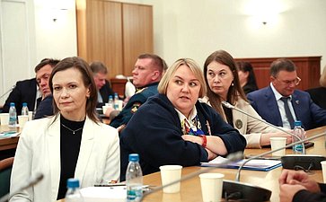 Сенаторы обсудили успешные практики и предложения по развитию НКО