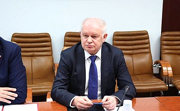 Совещание Комитета СФ по экономической политике «Добыча и переработка редкоземельных металлов: проблемы и пути решения»