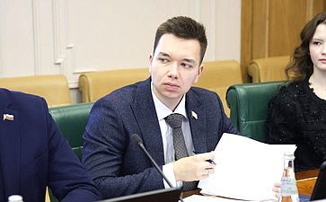 Александр Варфоломеев провел встречу с делегацией Законодательного Собрания Северо-Западной провинции Южно-Африканской Республики при участии Палаты молодых законодателей при Совете Федерации