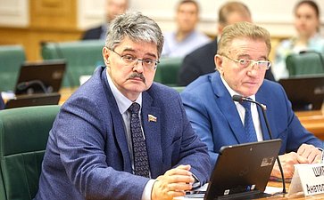 Заседание Комитета СФ по федеративному устройству, региональной политике, местному самоуправлению и делам Севера