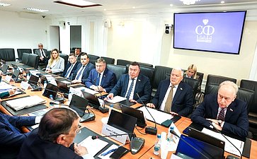 Совещание Комитета Совета Федерации по Регламенту и организации парламентской деятельности «Выборы в 2025 году и общественный контроль за голосованием»