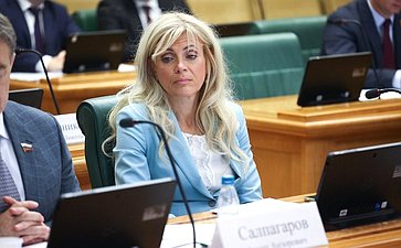 Заседание Комитета Совета Федерации по бюджету и финансовым рынкам