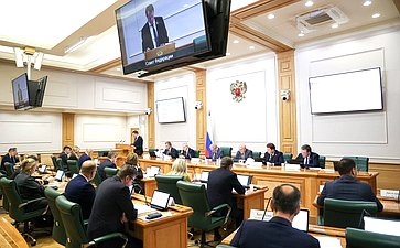 Расширенное заседание Комитета Совета Федерации по бюджету и финансовым рынкам