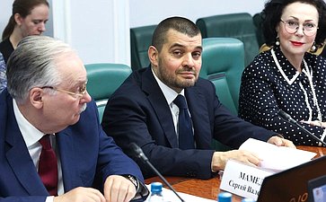 Заседание Комитета Совета Федерации по социальной политике